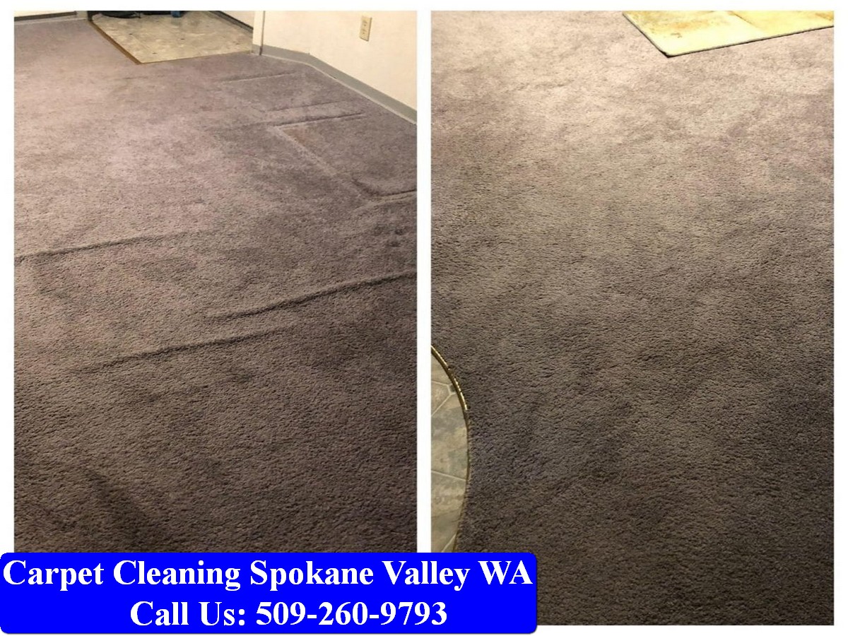 Carpet Cleaning Spokane 101