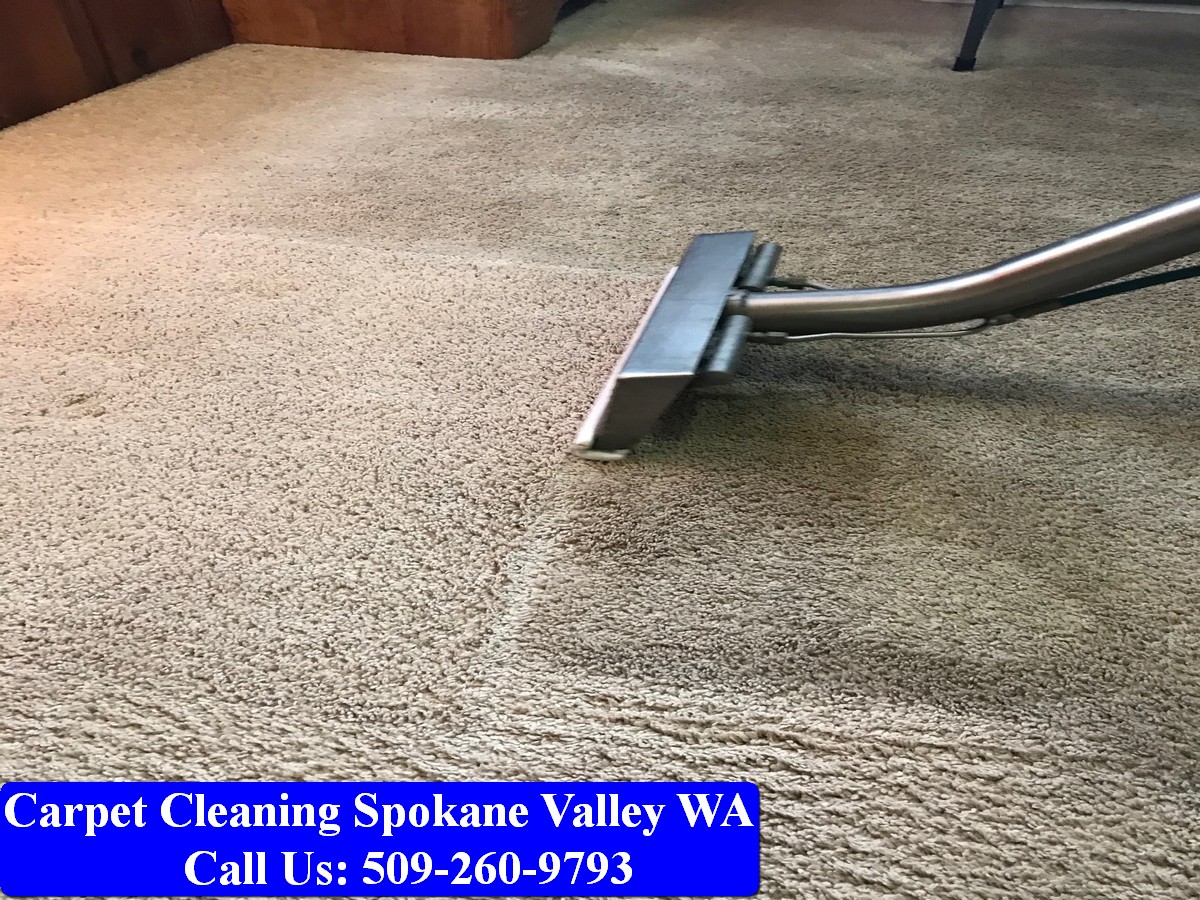 Carpet Cleaning Spokane 047