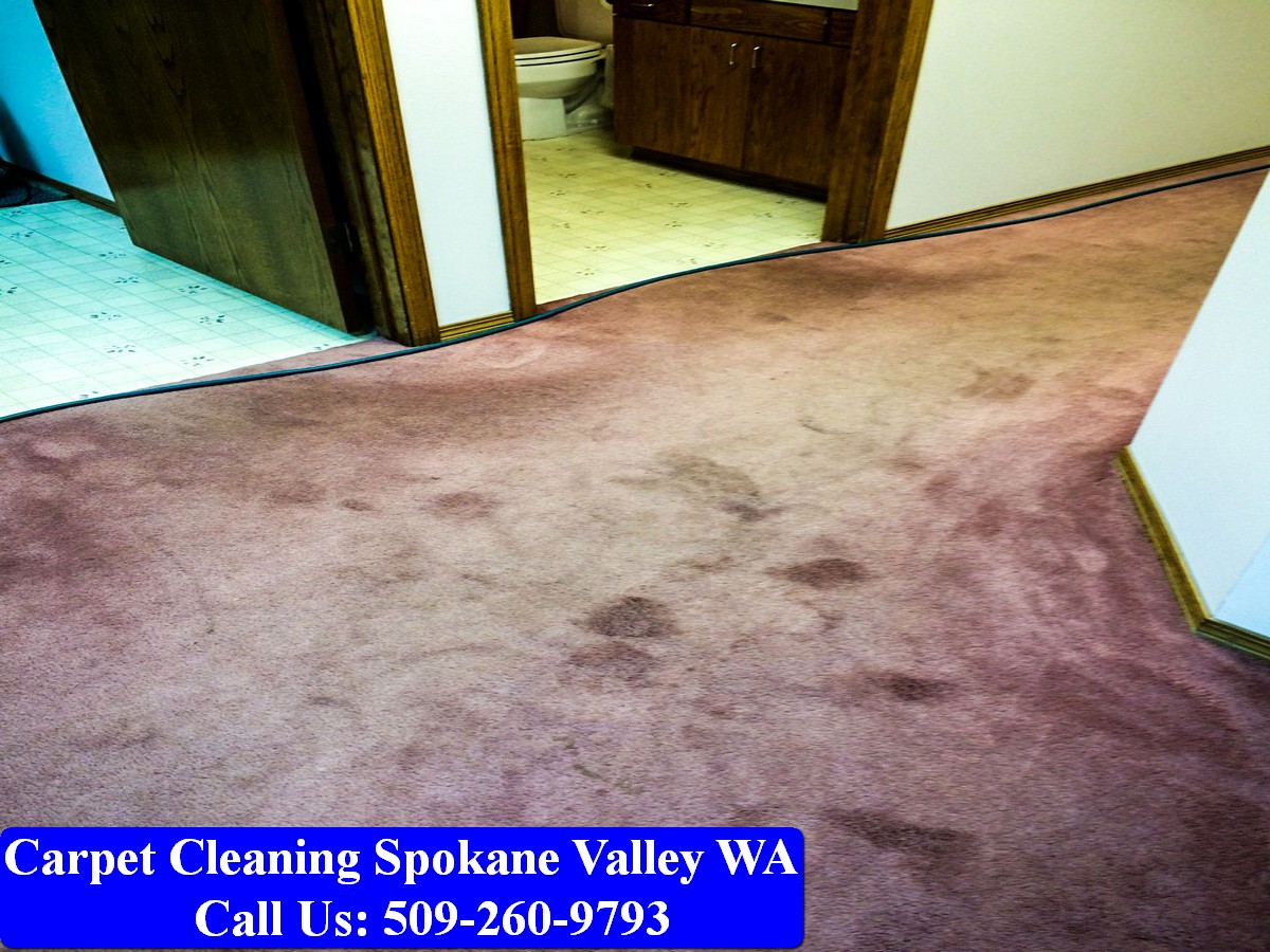 Carpet Cleaning Spokane 052