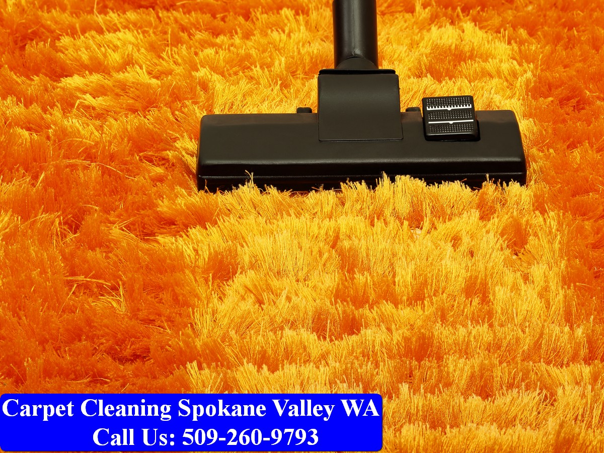 Carpet Cleaning Spokane 012