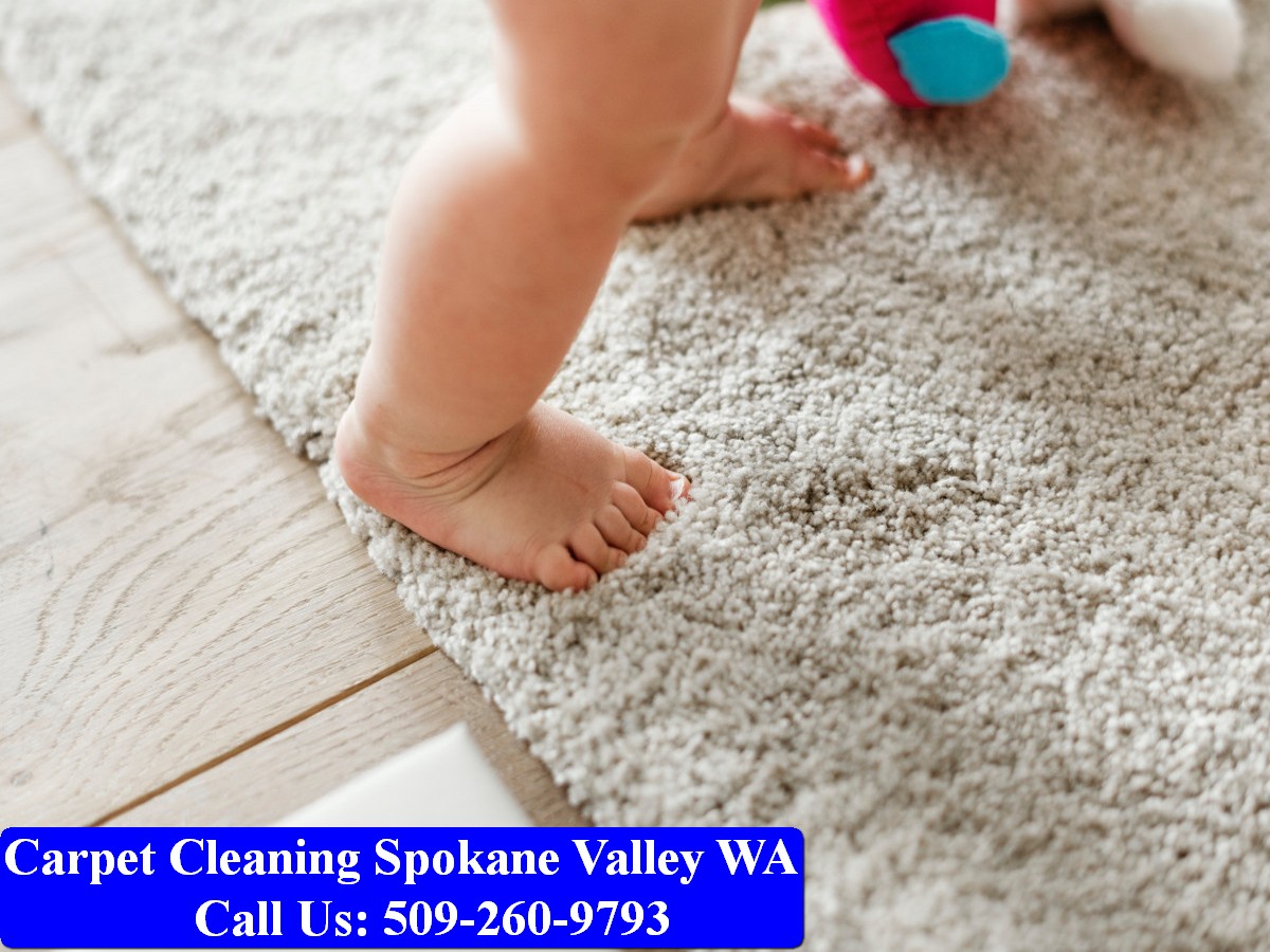 Carpet Cleaning Spokane 082