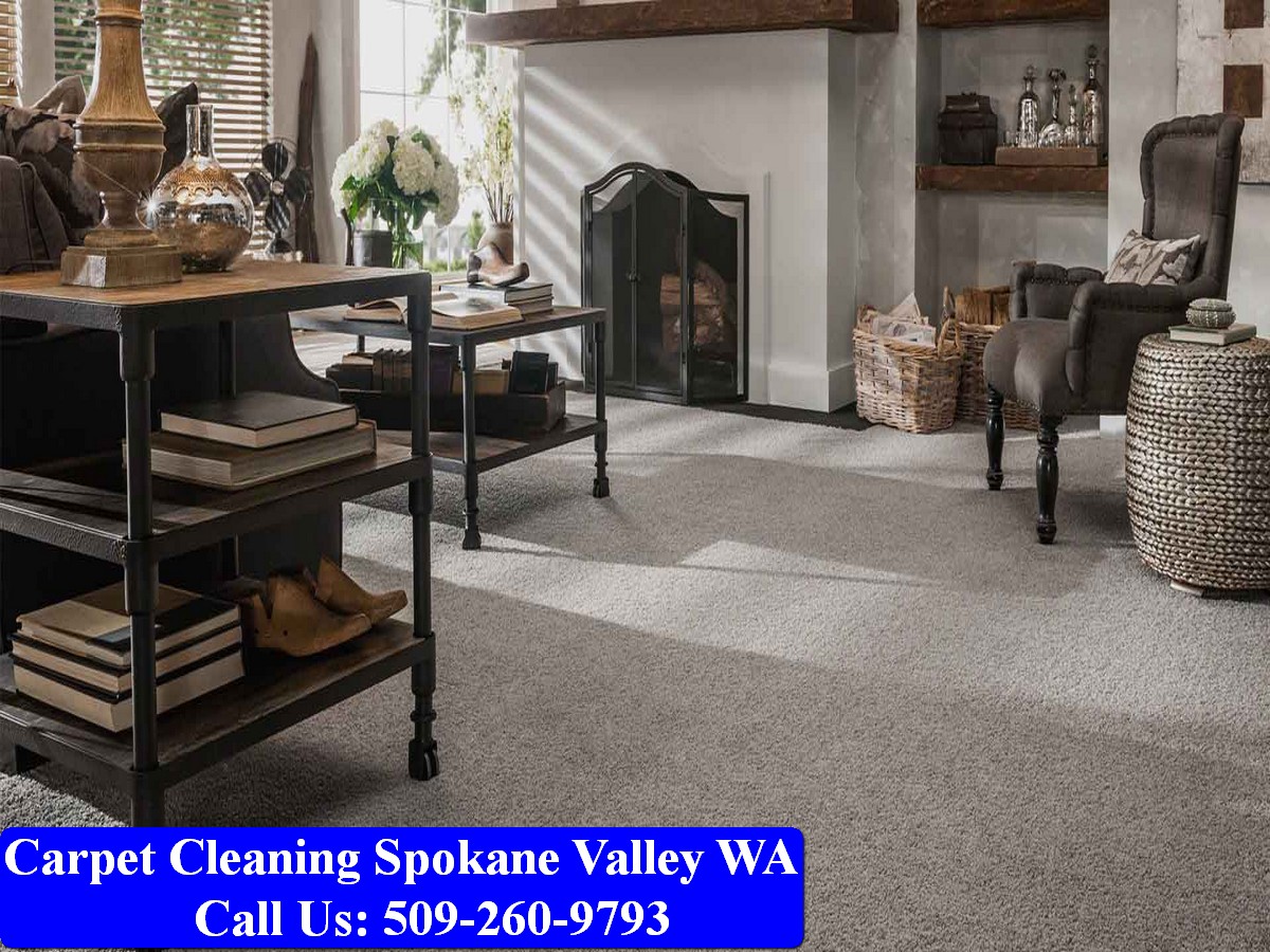 Carpet Cleaning Spokane 081