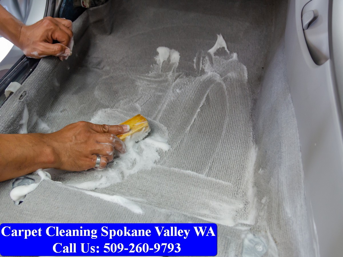 Carpet Cleaning Spokane 004