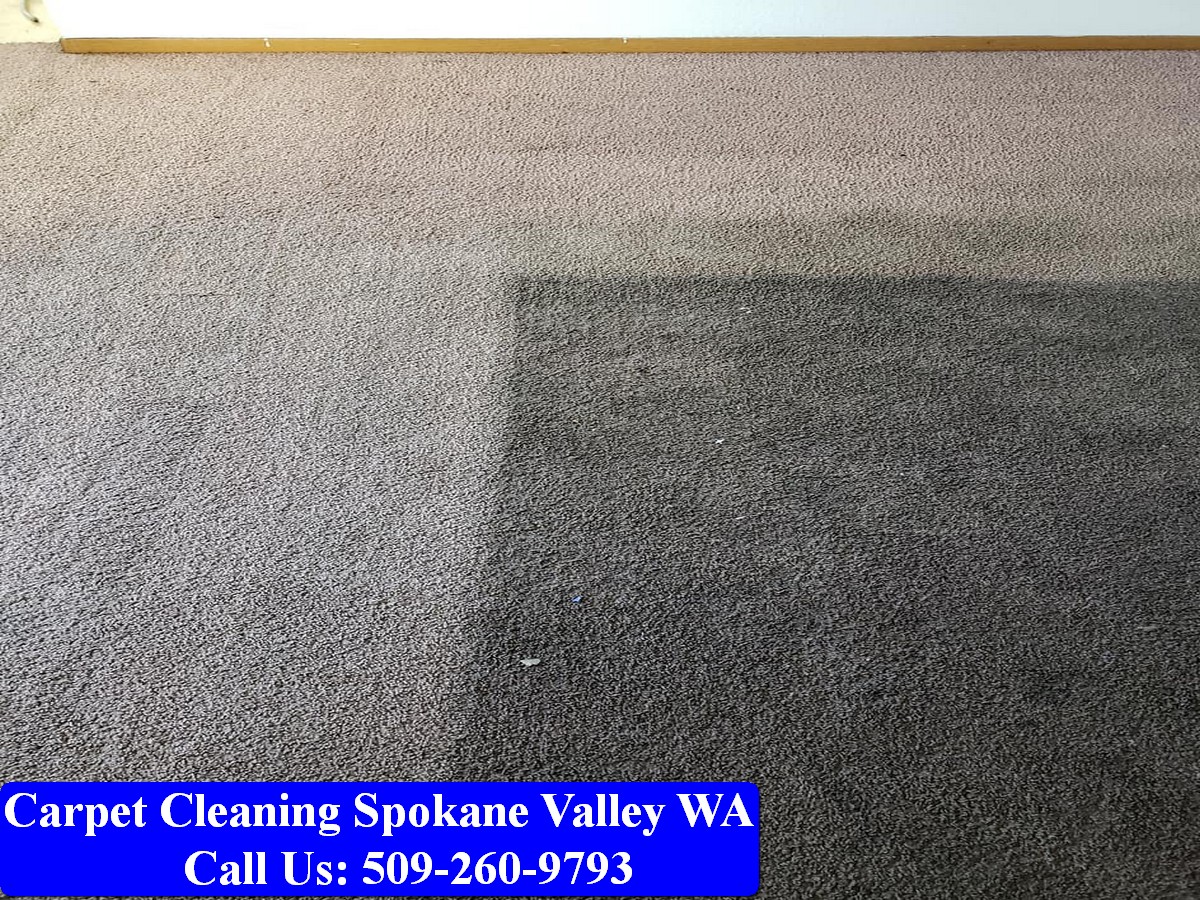 Carpet Cleaning Spokane 040