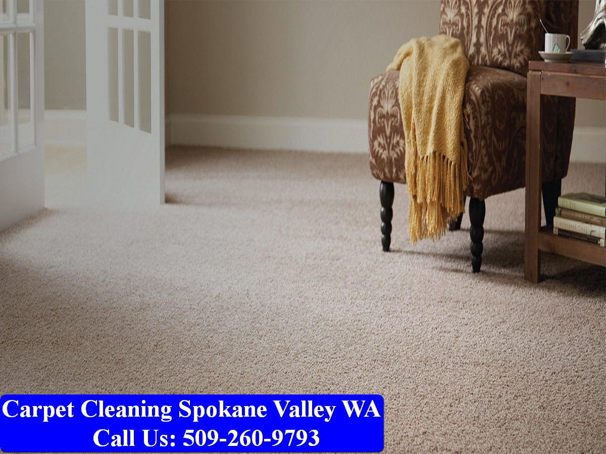 Carpet Cleaning Spokane 088