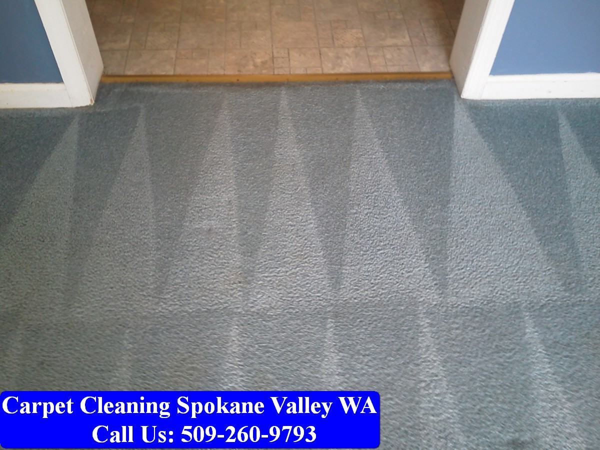 Carpet Cleaning Spokane 049