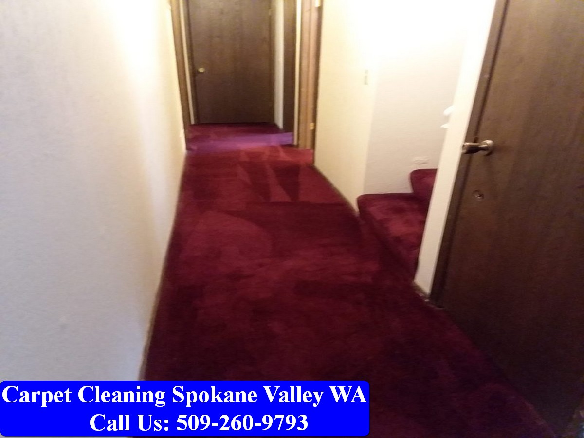 Carpet Cleaning Spokane 053
