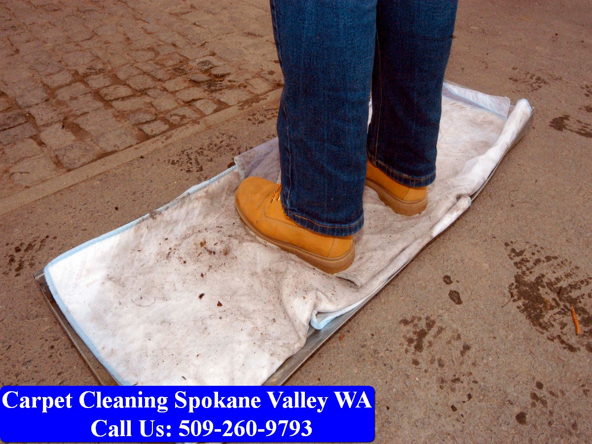 Carpet Cleaning Spokane 028