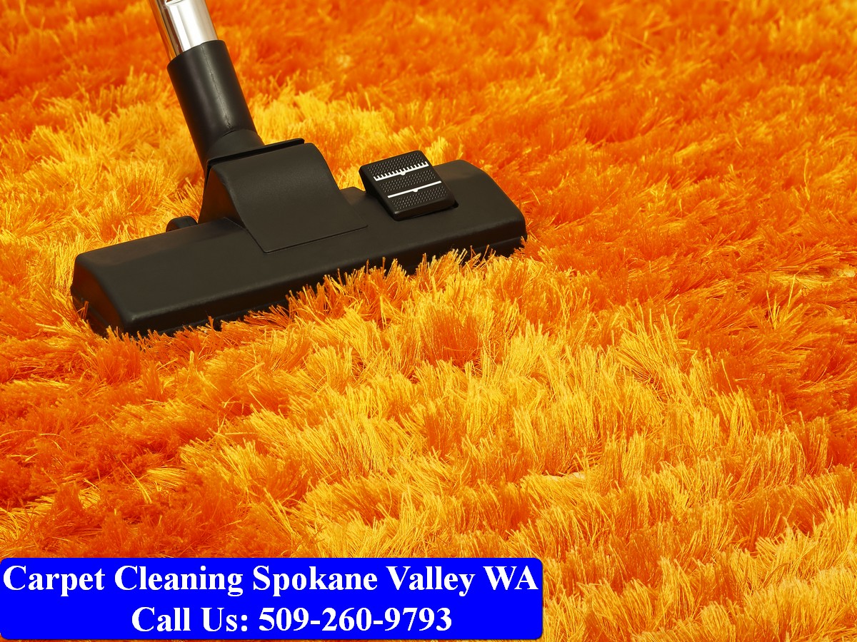 Carpet Cleaning Spokane 011