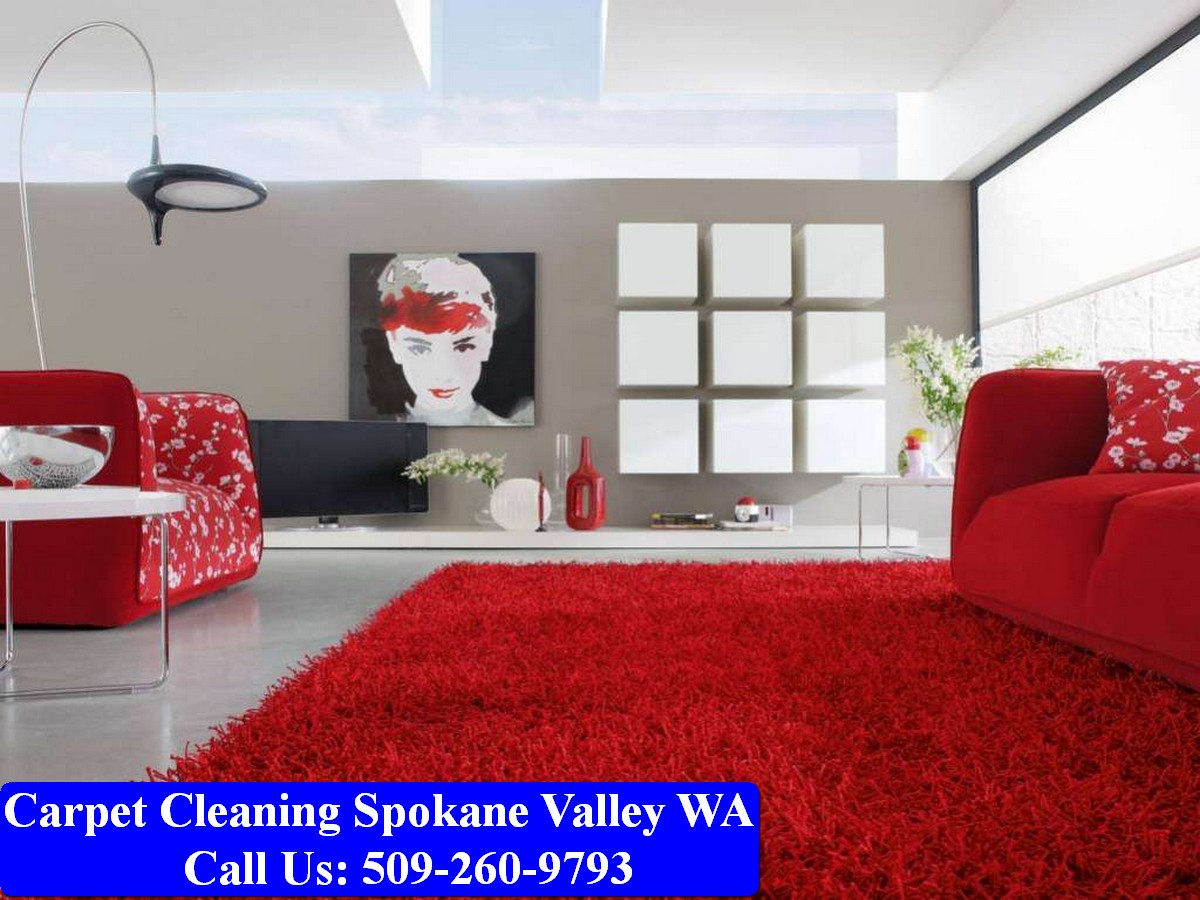 Carpet Cleaning Spokane 034