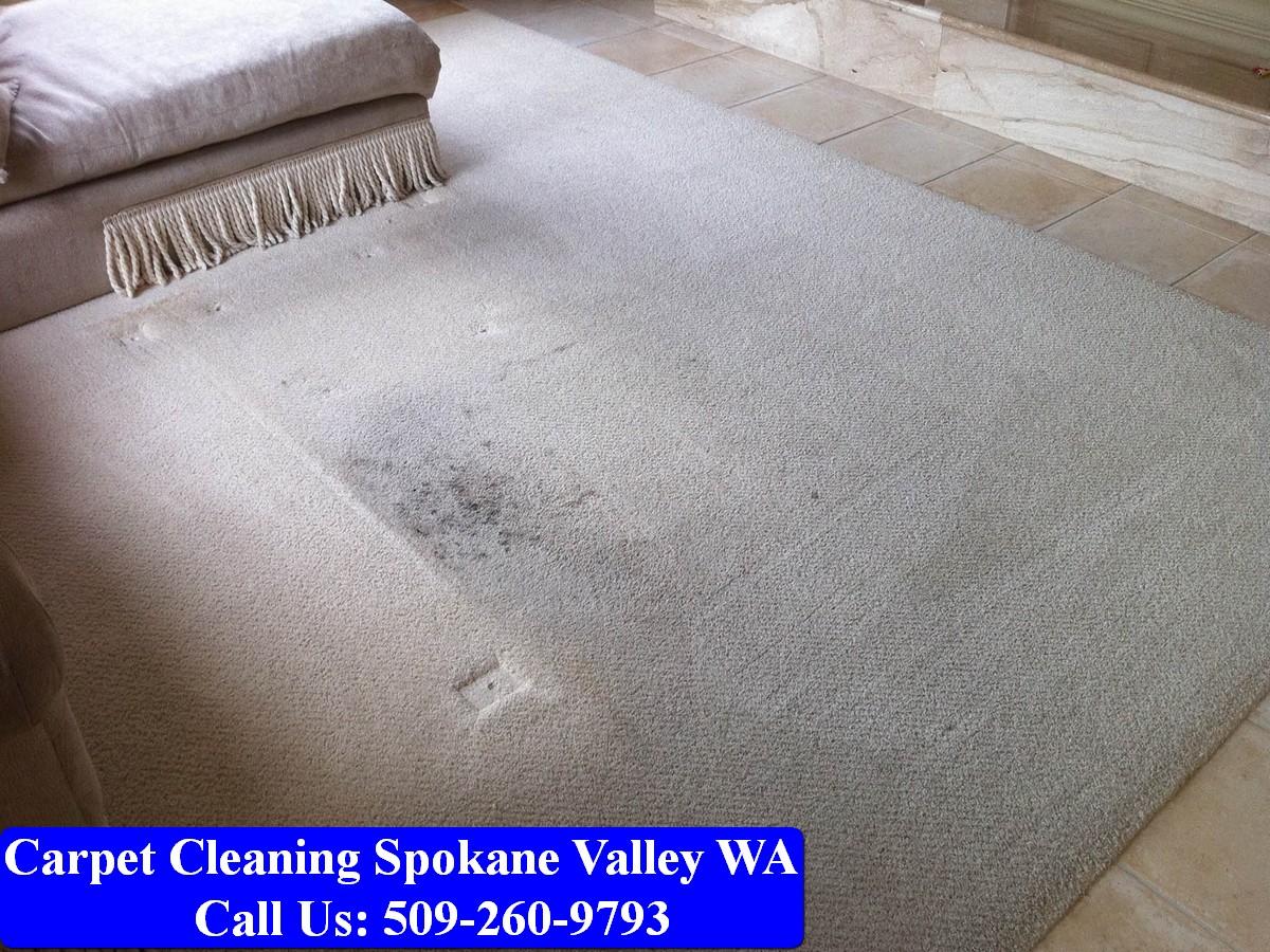 Carpet Cleaning Spokane 102