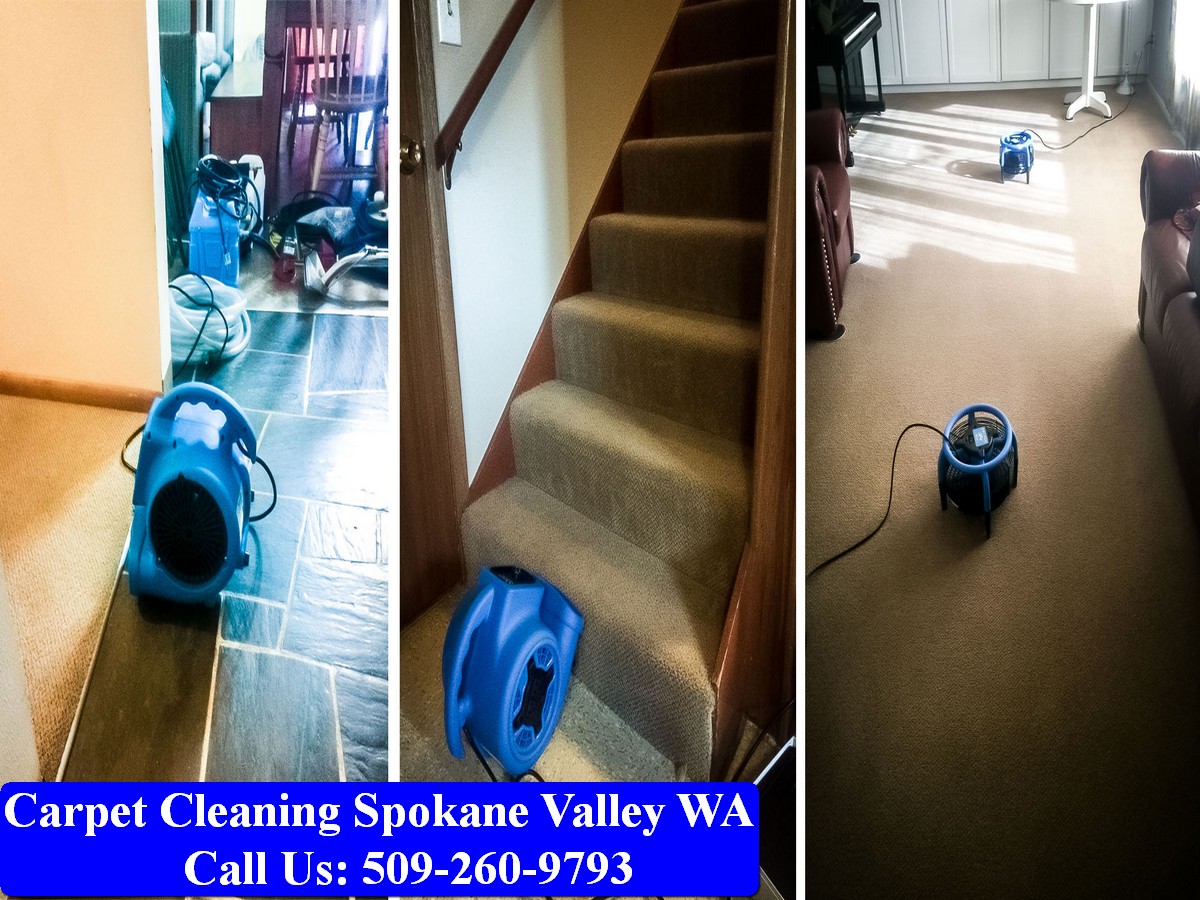 Carpet Cleaning Spokane 087
