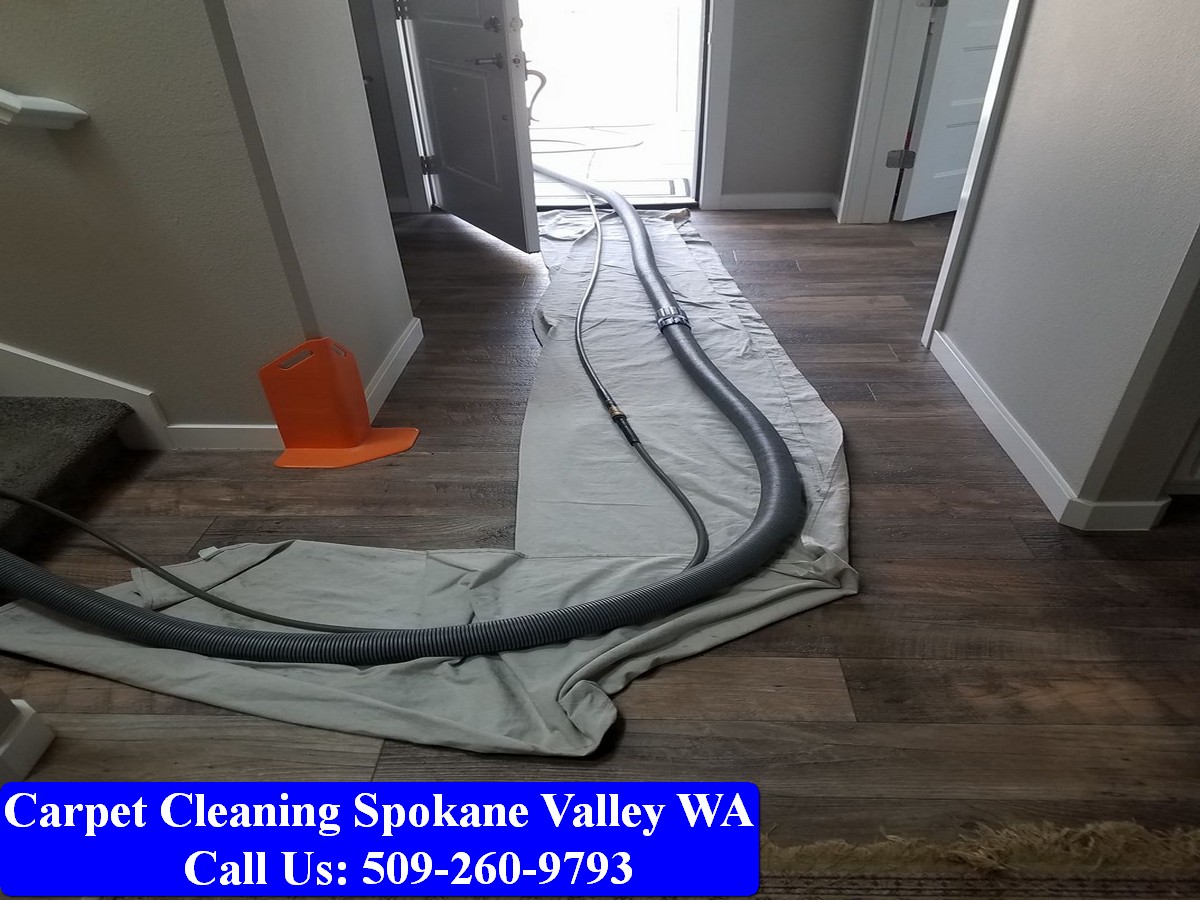 Carpet Cleaning Spokane 042