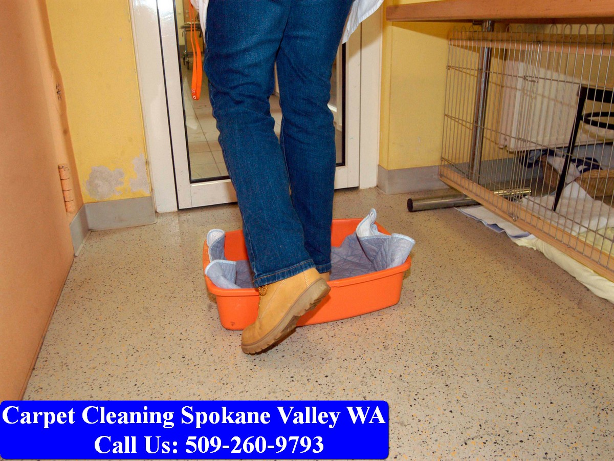 Carpet Cleaning Spokane 027