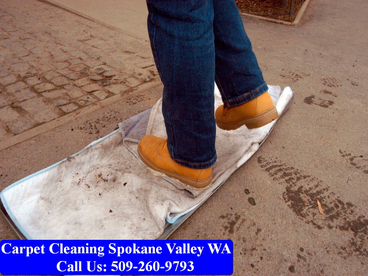Carpet Cleaning Spokane 026