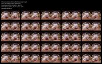 Free Image Hosting