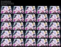 Free Image Hosting