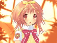 Free Image Hosting