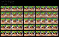 Free Image Hosting