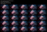 Free Image Hosting