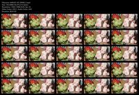 Free Image Hosting