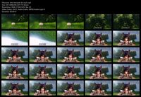 Free Image Hosting