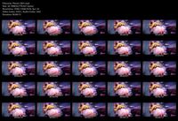 Free Image Hosting