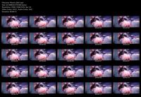 Free Image Hosting