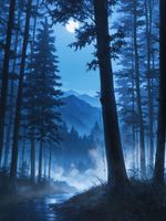 Free Image Hosting