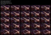 Free Image Hosting