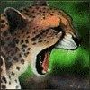 514 Animal Avatars w7opmtizi2
