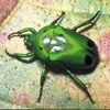 514 Animal Avatars y7opmt43dl