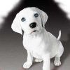 514 Animal Avatars g7opmt5gxm