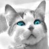 514 Animal Avatars y7opmt6csf