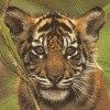 514 Animal Avatars s7opmt9acw