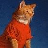 514 Animal Avatars n7opmtknsv