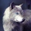 514 Animal Avatars g7opmtl5mb