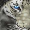 514 Animal Avatars m7opmtomrb