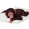 514 Animal Avatars h7opmtsyiz