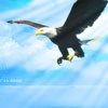 514 Animal Avatars s7opmubvic