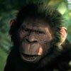 514 Animal Avatars i7opmuijoj