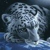 514 Animal Avatars 17opmu36zp