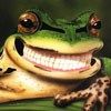 514 Animal Avatars 27opmu4mwc