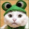 514 Animal Avatars 37opmukifo