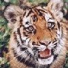 514 Animal Avatars q7opmum0qo