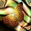 514 Animal Avatars h7opmuoob4