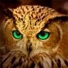 514 Animal Avatars f7opmv22tv