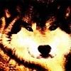 514 Animal Avatars d7opmv8oqf