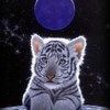 514 Animal Avatars m7opmvt4by