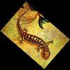 514 Animal Avatars c7opmxtptm